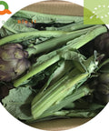 20 Carciofi Biologici, varietà opal. 