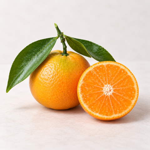 Clementine Primosole Bio