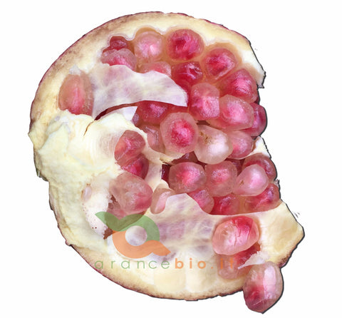 Mollar Granatapfel