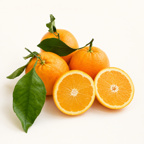 Bio-Navelorangen