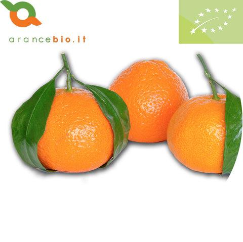 Clementine Nova Biologiche. Non trattate in superficie, buccia edibile