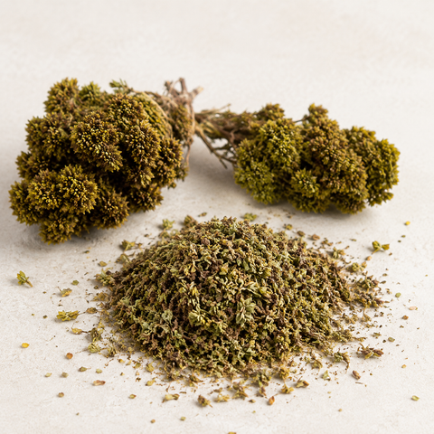 Wild woodland oregano