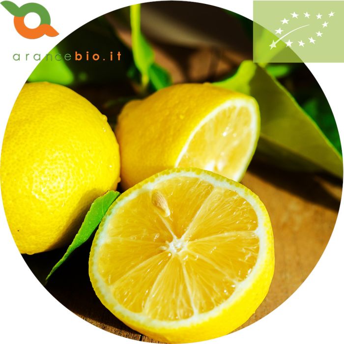 BIO Zitronen online zu verkaufen | OrangesBio